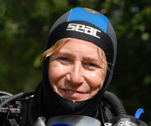 Team Member Team Member