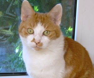 Team Member Team Member