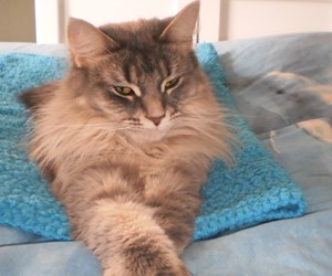 Team Member Team Member