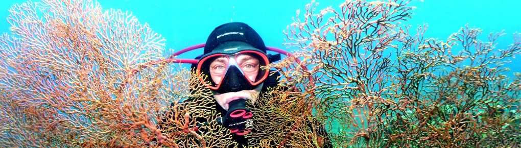 Micha im Bali Villa Dive Resort slider